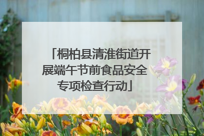 桐柏县清淮街道开展端午节前食品安全专项检查行动